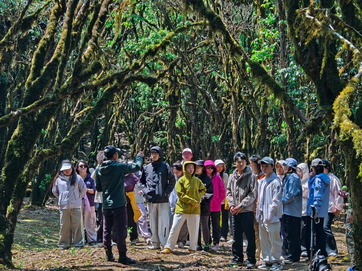户外拓展与山野活动